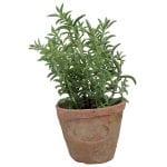 Artificial Herb Plant - Thyme - Small