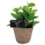 Artificial Herb Plant - Mint - Large