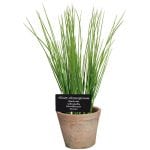 Artificial Herb Plant - Chives - Large