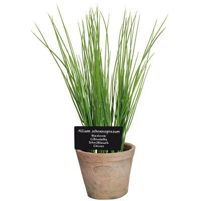 Artificial Herb Plant - Chives - Large
