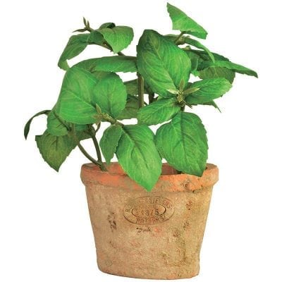 Artificial Herb Plant - Basil - Small