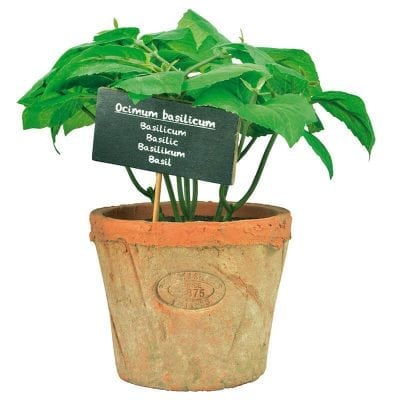 Artificial Herb Plant - Basil - Large