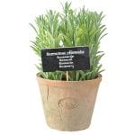 Artificial Herb Plant - Rosemary - Large