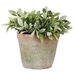Aged Terra Cotta Round Pot