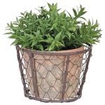 Aged Terra Cotta Single Pot w/ Metal Basket w/o Handle