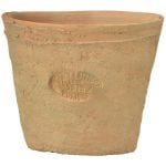 Aged Terra Cotta Pots in Wooden Crate Display - 24 pieces