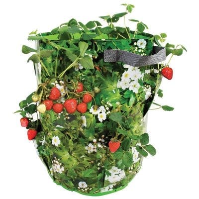 Strawberry Herb Planter