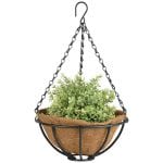 Metal Hanging Basket 10"