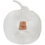 Fruit Fly Trap, Apple