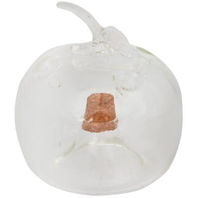 Fruit Fly Trap, Apple