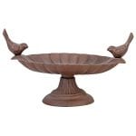 Bird Bath