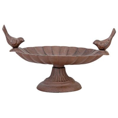 Bird Bath