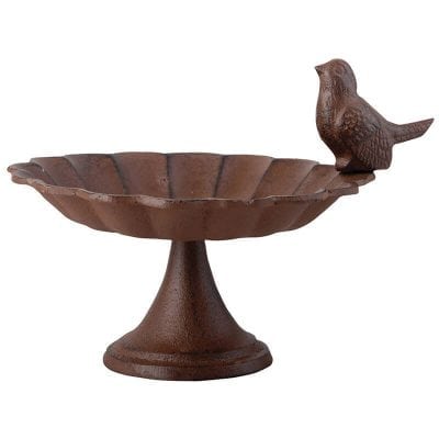Bird Feeder