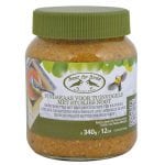 Peanut Butter for Wild Birds
