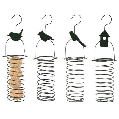 Straight Bird Spring, Assortment of 4 Designs