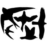 Bird Shadow Window Decor Asst. - Black