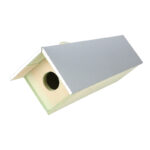 Little Owl Box