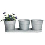Old Zinc 3 Pots on a Saucer