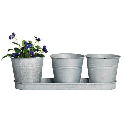 Old Zinc 3 Pots on a Saucer