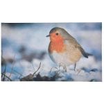 Doormat, Robin