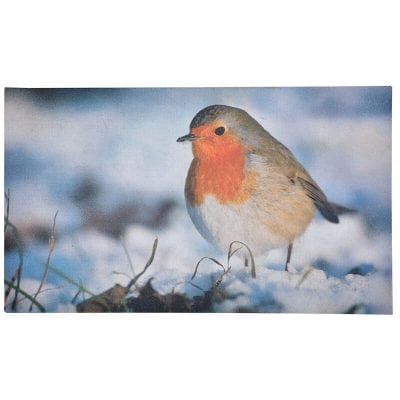 Doormat, Robin