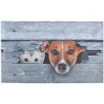 Dog & Cat Peek-A-Boo Doormat