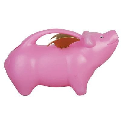 Watering Can Flying Pig - Pink