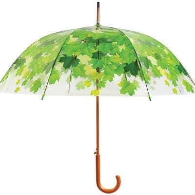 Tree Top Clear Umbrella