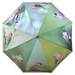 Bird Umbrella
