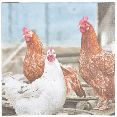 Chicken Napkins