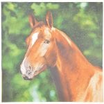 Horse Napkins
