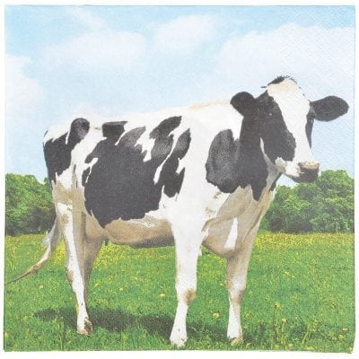 Cow Napkins