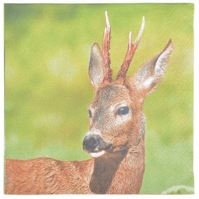 Deer Napkins