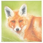 Fox Napkins