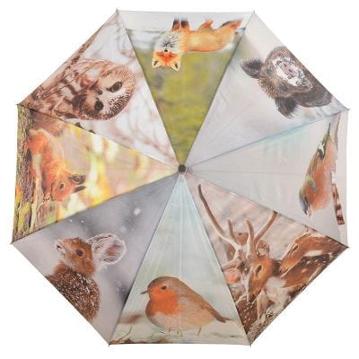 Umbrella Winter