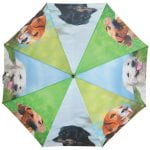 Dog Umbrella