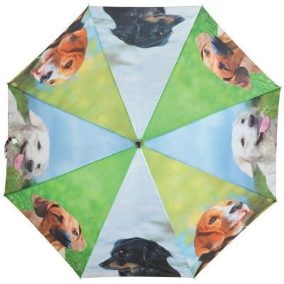 Dog Umbrella