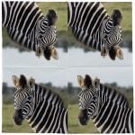 Pack of 20 Zebra Napkins - Image 2