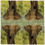 Pack of 20 Elephant Napkins - Image 2