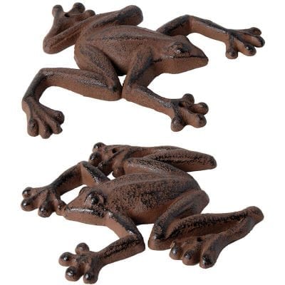 Frog Wall Decoration Asst.