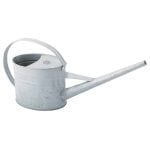 Watering Can Indoor - Zinc