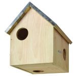 Squirrel House