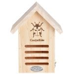 Ladybug House with Line Drawing