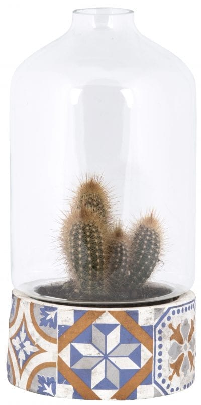 Portuguese Tile Cloche, Concrete/Glass
