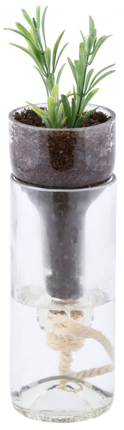 Self-Watering Bottle Planter