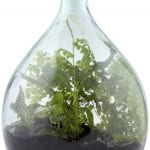 Terrarium Bottle w/Tools, Glass, Green - Medium - Image 2