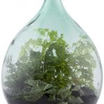 Terrarium Bottle w/Tools, Glass, Green - Large - Image 2
