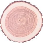 Set of 10 Tree Trunk Place Mats, Paper