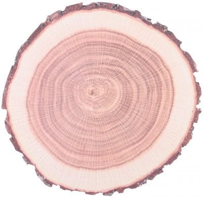 Set of 10 Tree Trunk Place Mats, Paper