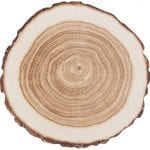 Set of 10 Tree Trunk Coasters, Paper